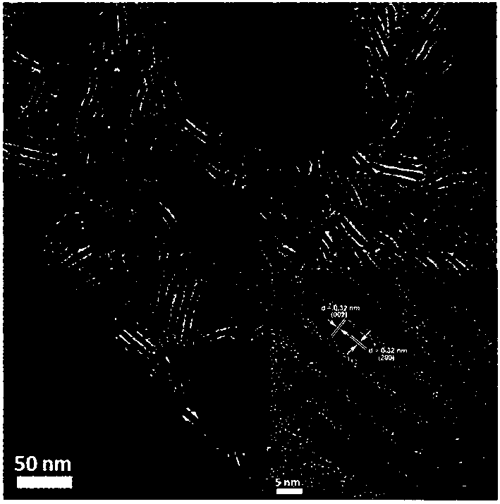 Lead telluride nano rod with uniform size, and preparation method and applications thereof