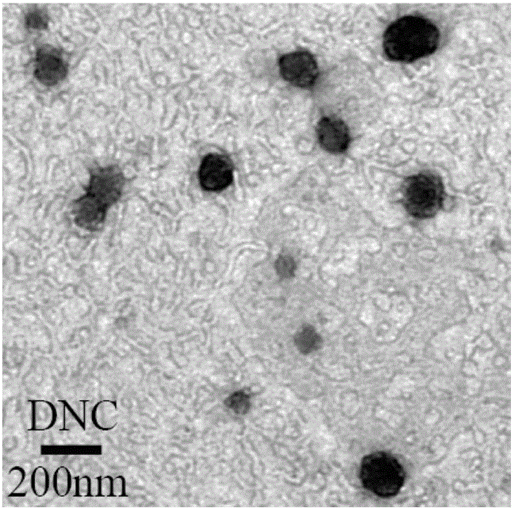 Uses of modified chitosan, and nanometer complex containing modified chitosan