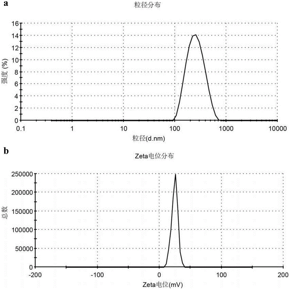 Uses of modified chitosan, and nanometer complex containing modified chitosan