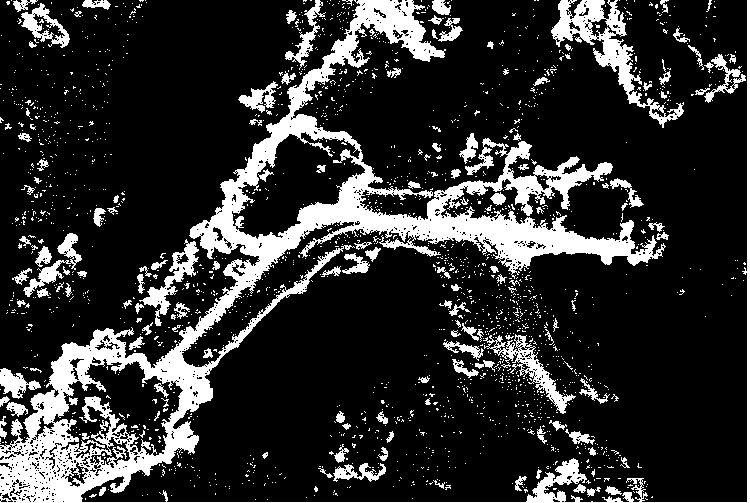 Preparation method of nickel phosphide/foamed nickel electrochemical functional hydrogen evolution material