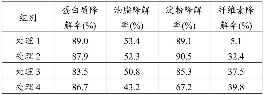 Composite strain and application thereof to kitchen waste degradation