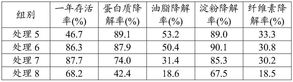 Composite strain and application thereof to kitchen waste degradation