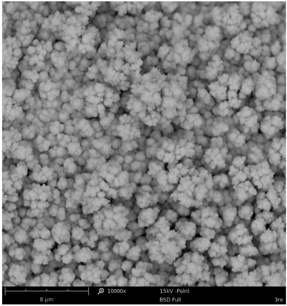 Super-hydrophobic and super-oleophilic copper wire mesh free of low surface energy material modification and preparation method thereof