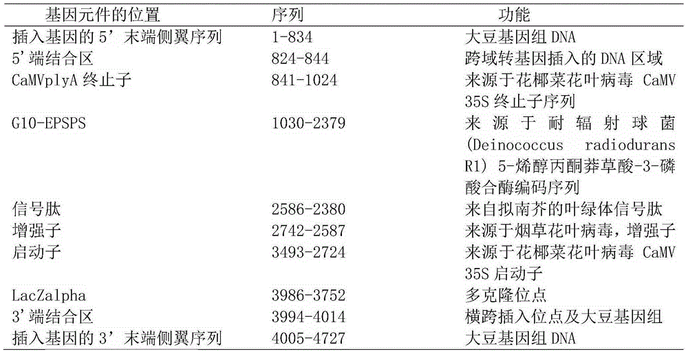 Glycine max transformation event SHZD32-01 and detection method thereof