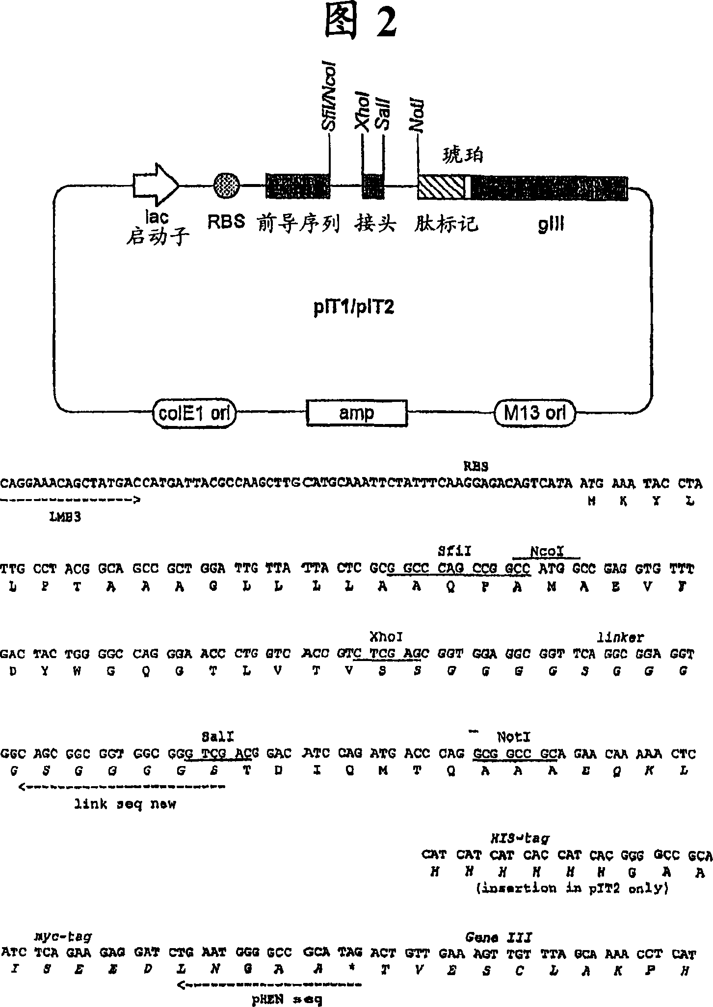 Single domain antibodies against tnfr1 and methods of use therefor