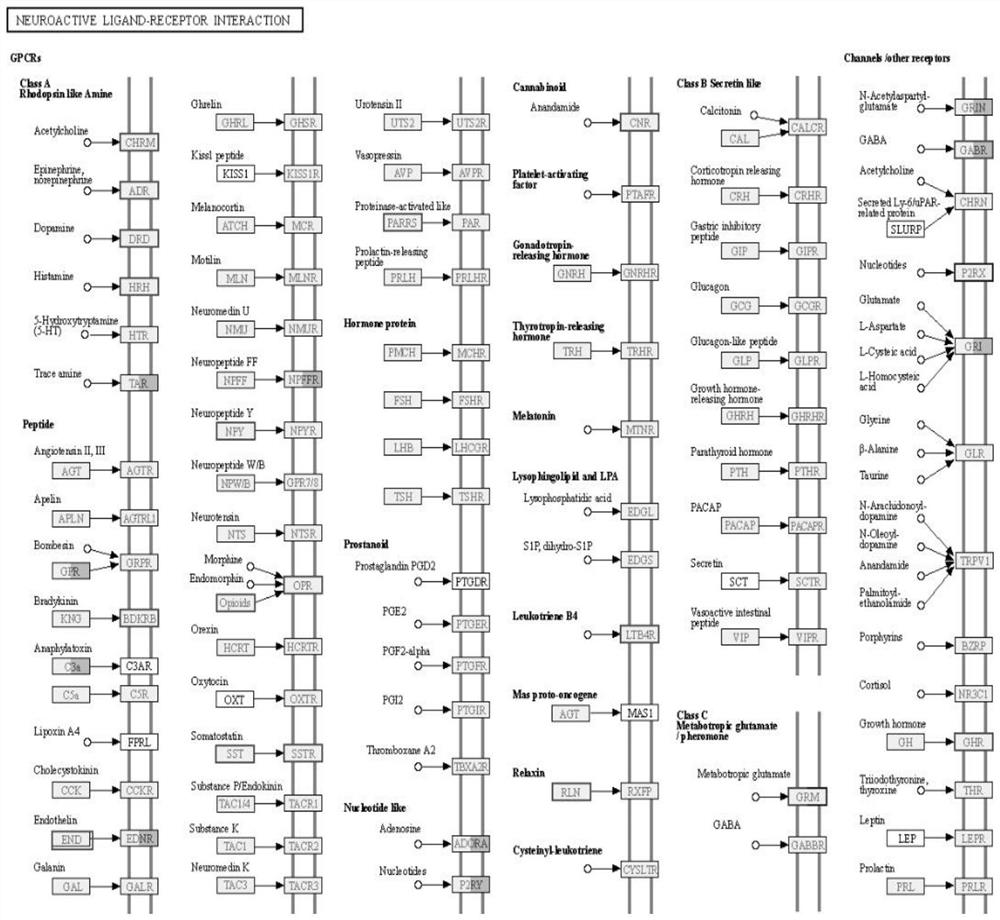 Culture method for improving ingestion, growth speed and survival rate of micropterus salmoides at fry culture stage