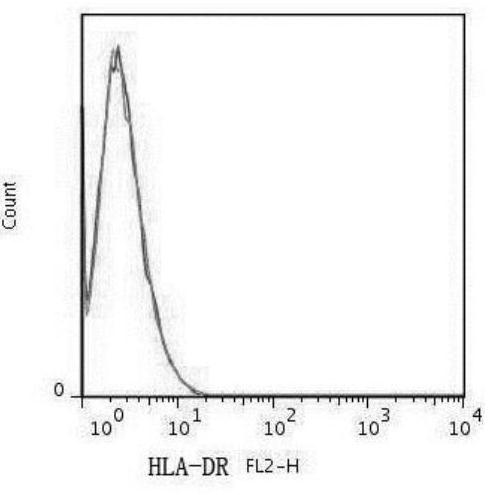 Umbilical cord mesenchymal stem cell primary isolated culture method capable of increasing yield