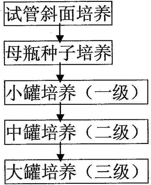 A method for producing high-purity intracellular glycopeptides of versicolor versicolor by using modern fermentation technology