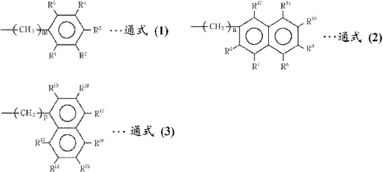 Rna virus infection inhibitor, method for inhibition of infection by rna virus, products for inhibition of infection by rna virus, and use as rna virus infection inhibitor