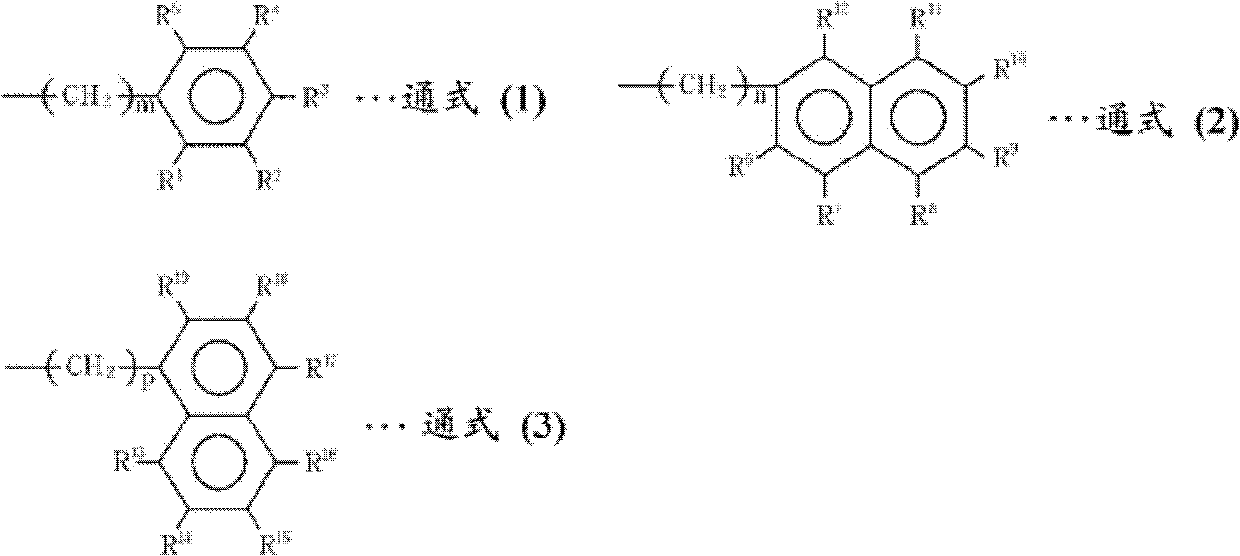 Rna virus infection inhibitor, method for inhibition of infection by rna virus, products for inhibition of infection by rna virus, and use as rna virus infection inhibitor