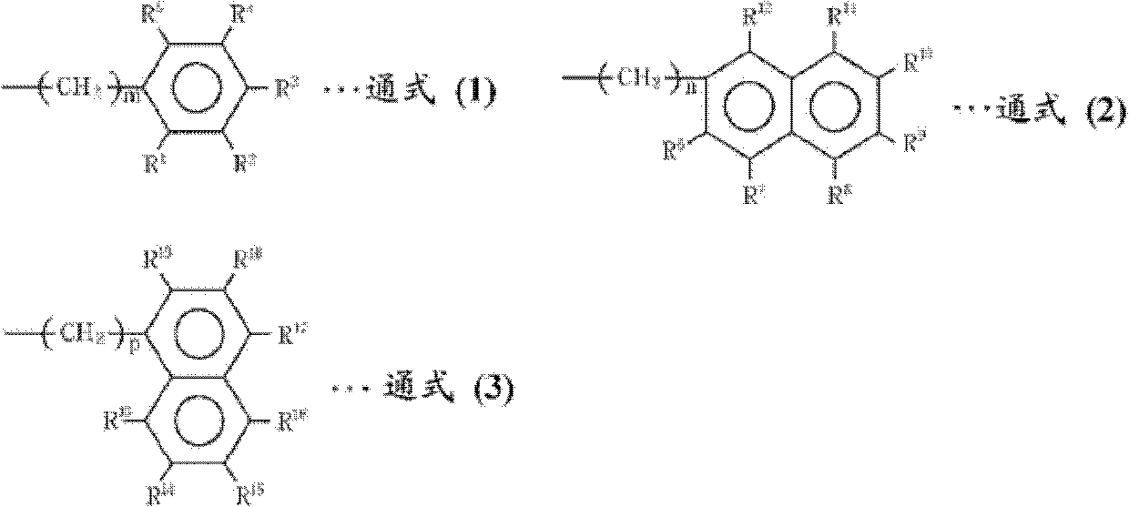 Rna virus infection inhibitor, method for inhibition of infection by rna virus, products for inhibition of infection by rna virus, and use as rna virus infection inhibitor