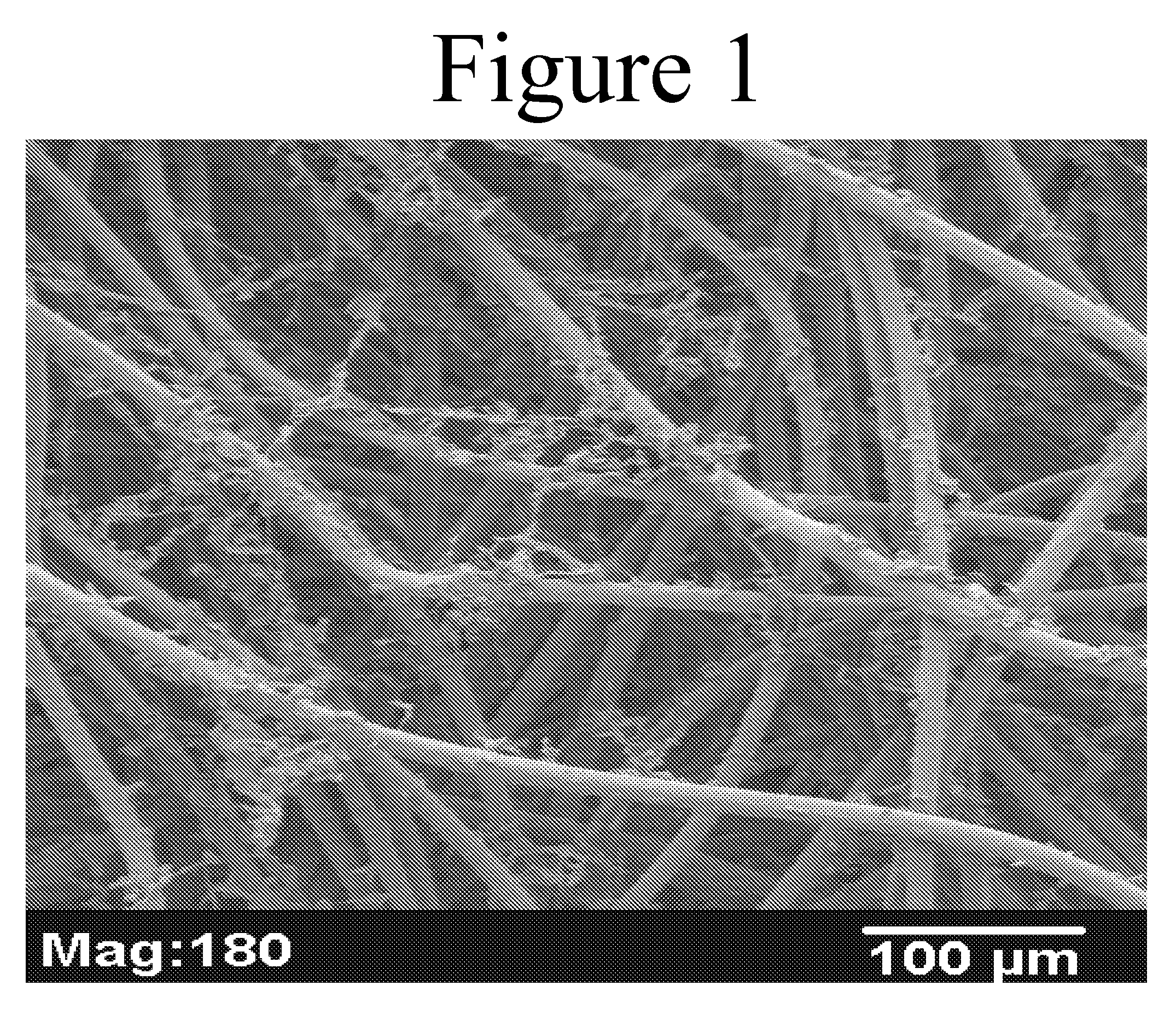 Composite Scaffolds Seeded with Mammalian Cells