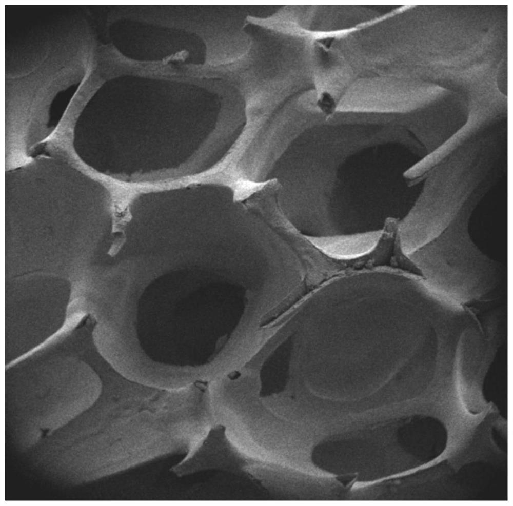 Preparation method of high-performance ceramic reinforced iron-based composite material