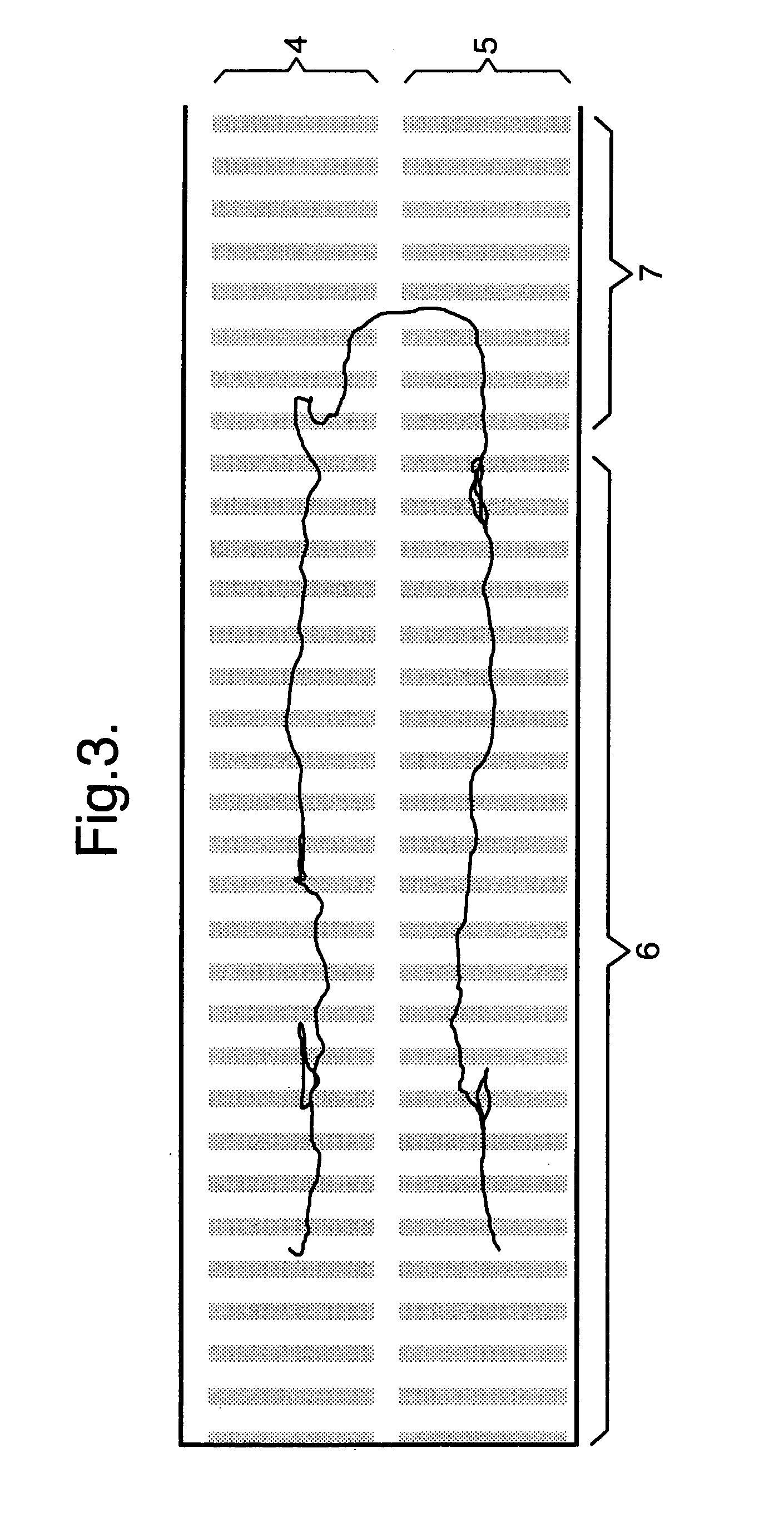 Ion guide array