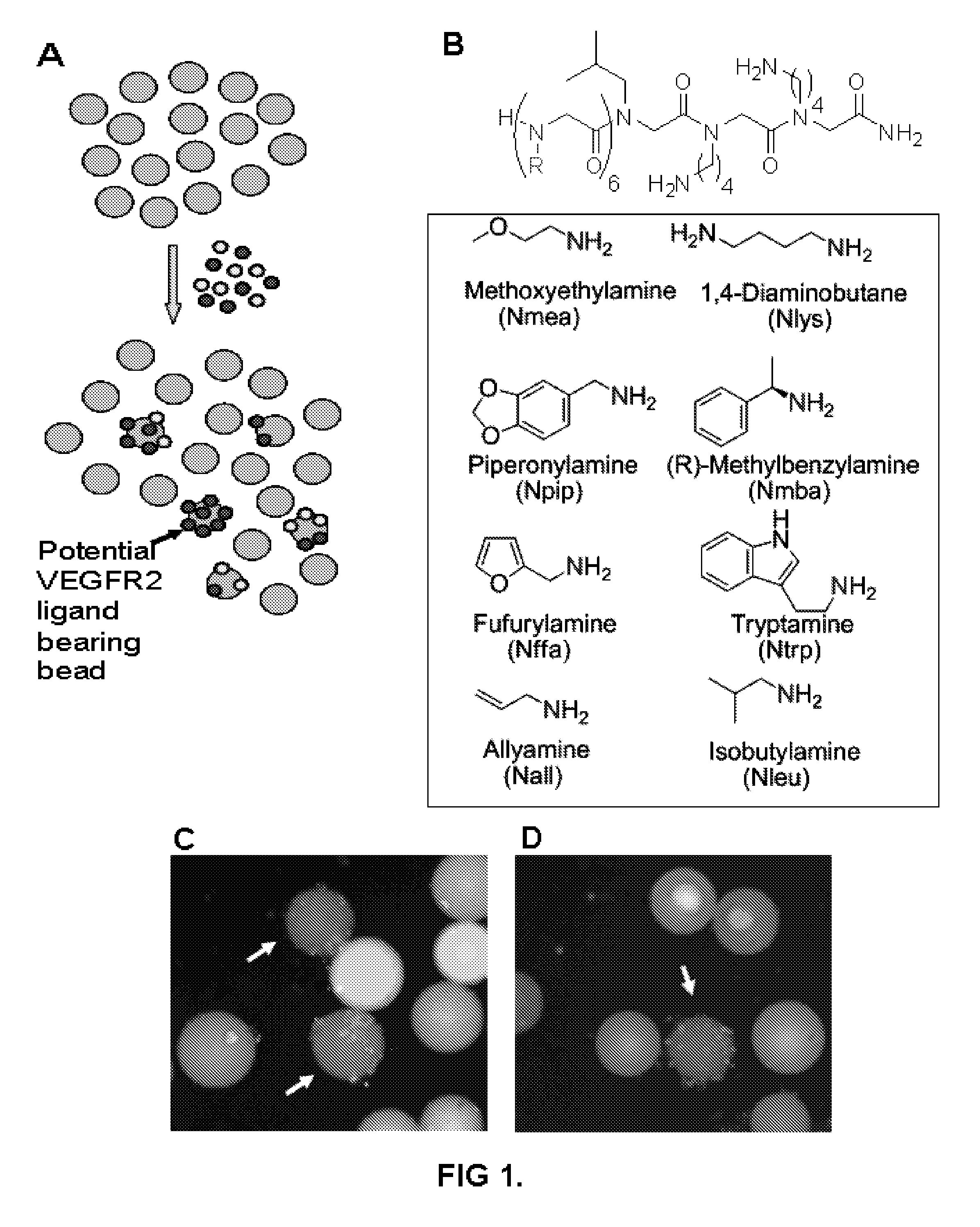 High affinity vegf-receptor antagonists