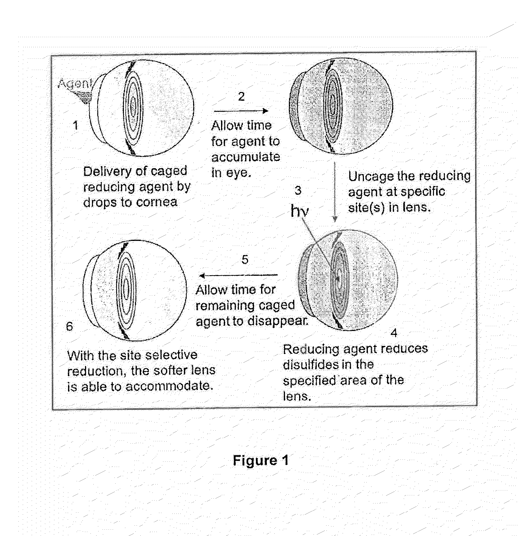 Dithiol Compounds, Derivatives, and Uses Therefor