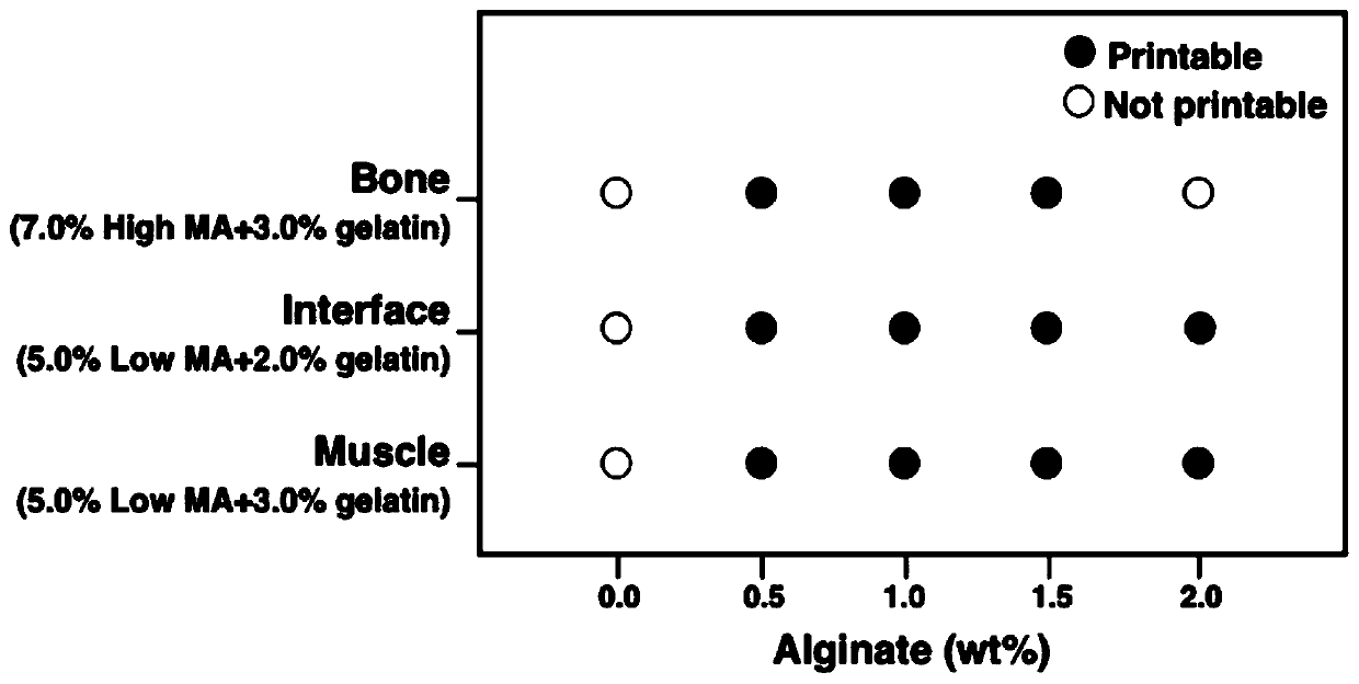 Method for preparing bionic skeletal muscle composite tissue through multi-channel extrusion 3D biological printing