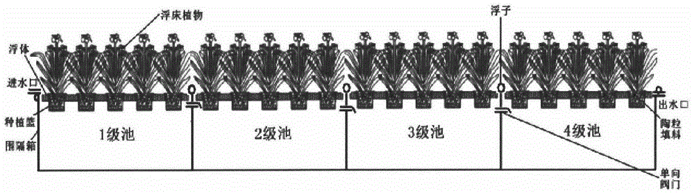 Comprehensive water purification method based on shallow/deep water plants and shoreland vegetation