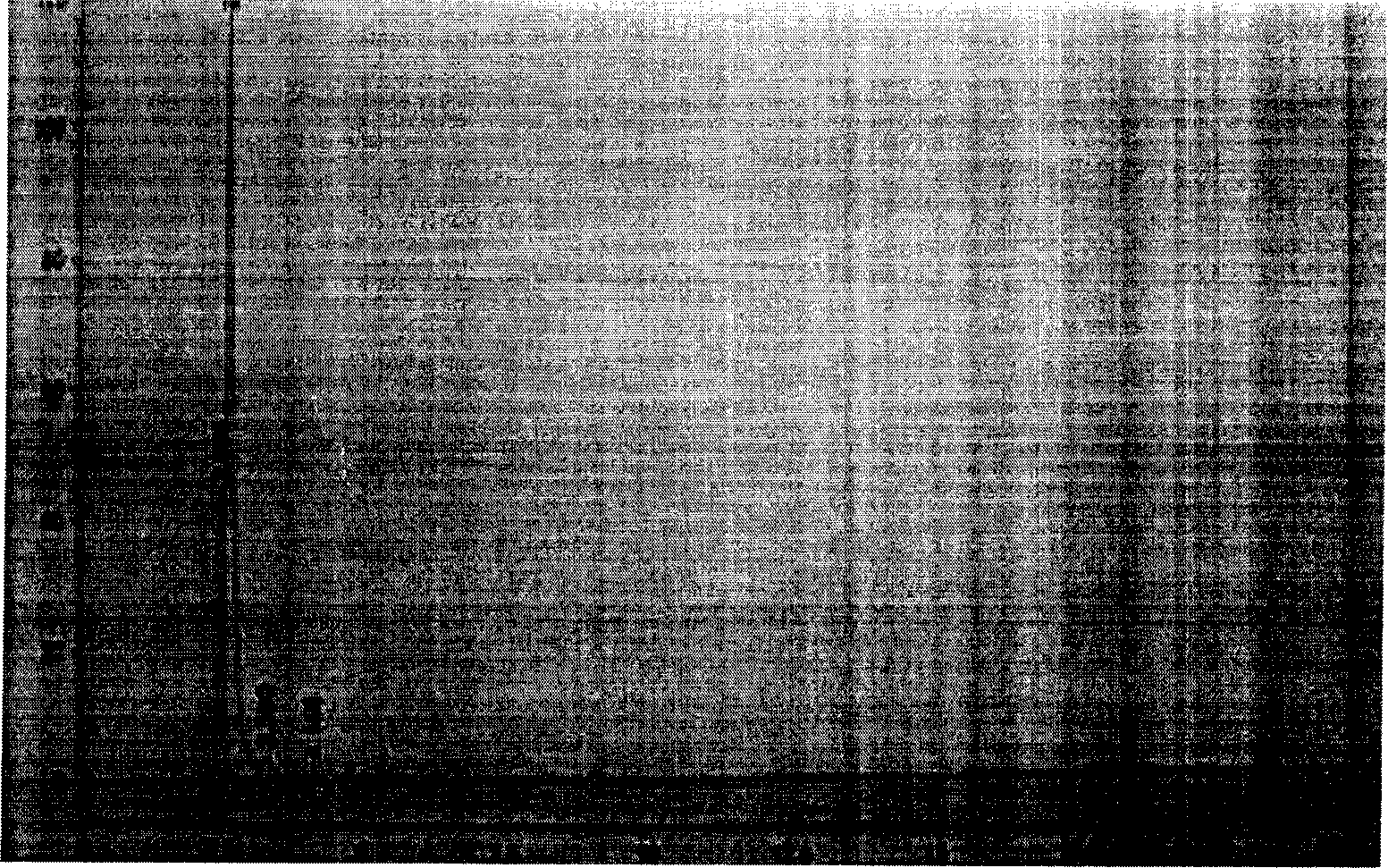 Liquid phase chromatographic method for simultaneously measuring compound sulfamethoxazole and metabolite thereof