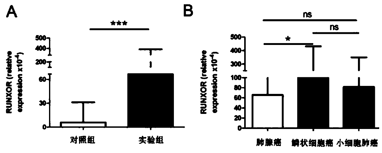 Application of LncRNA marker in detection or evaluation of immune function of lung cancer