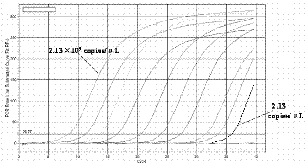 Detection method for CVA10 in environmental water body