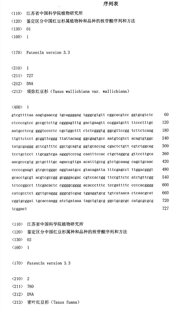 Nucleotide sequence and method used for identifying and differentiating species and varieties of Taxus chinensis