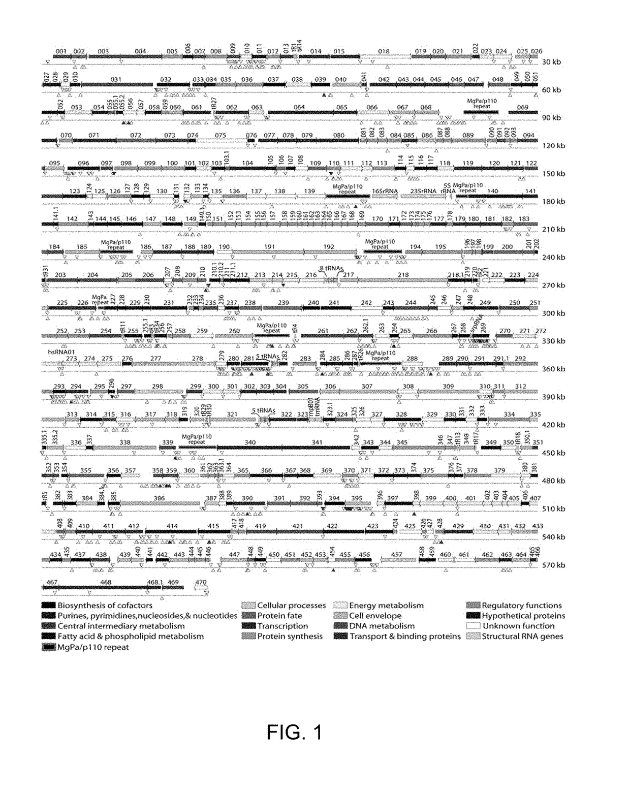 Method of nucleic acid cassette assembly