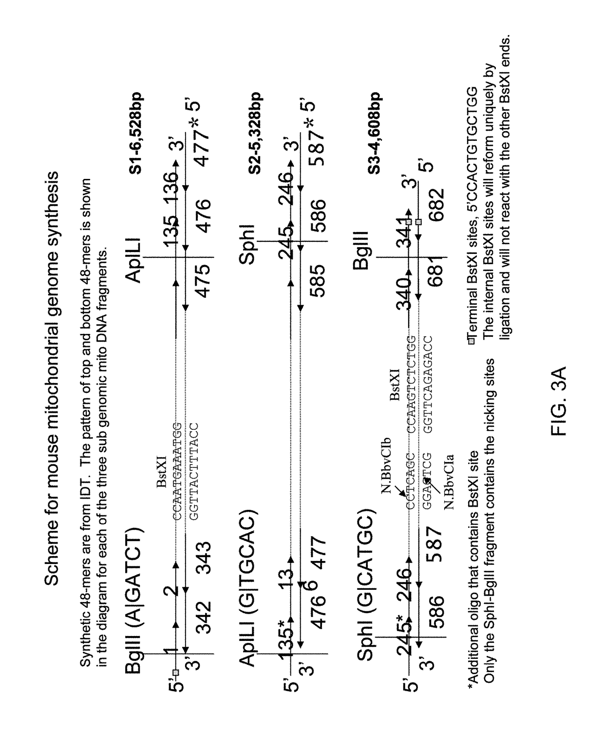 Method of nucleic acid cassette assembly