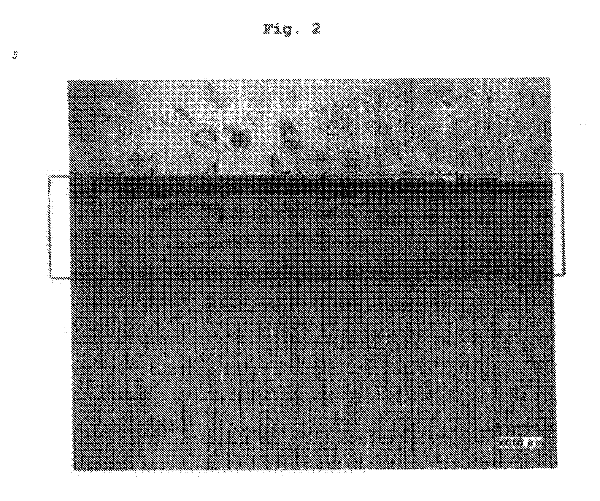 Sealing resin composition and sealing sheet