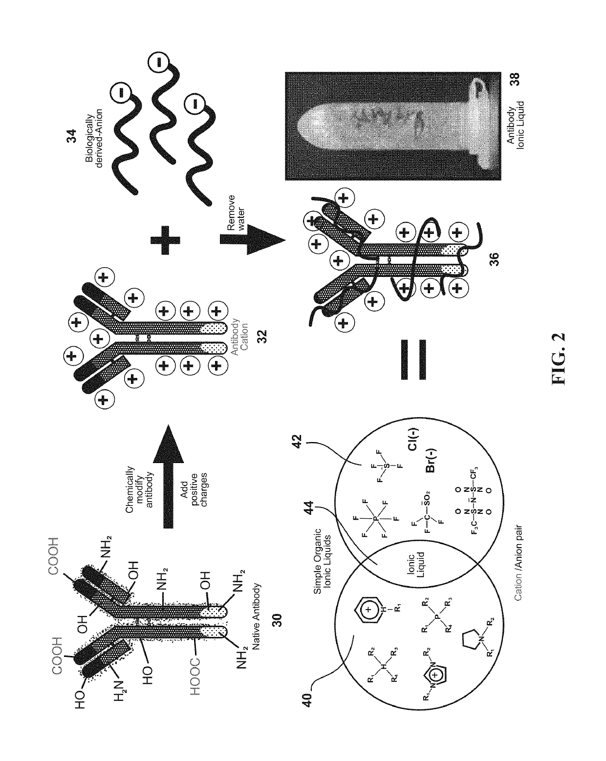 Ultra-stable protein ionic liquids