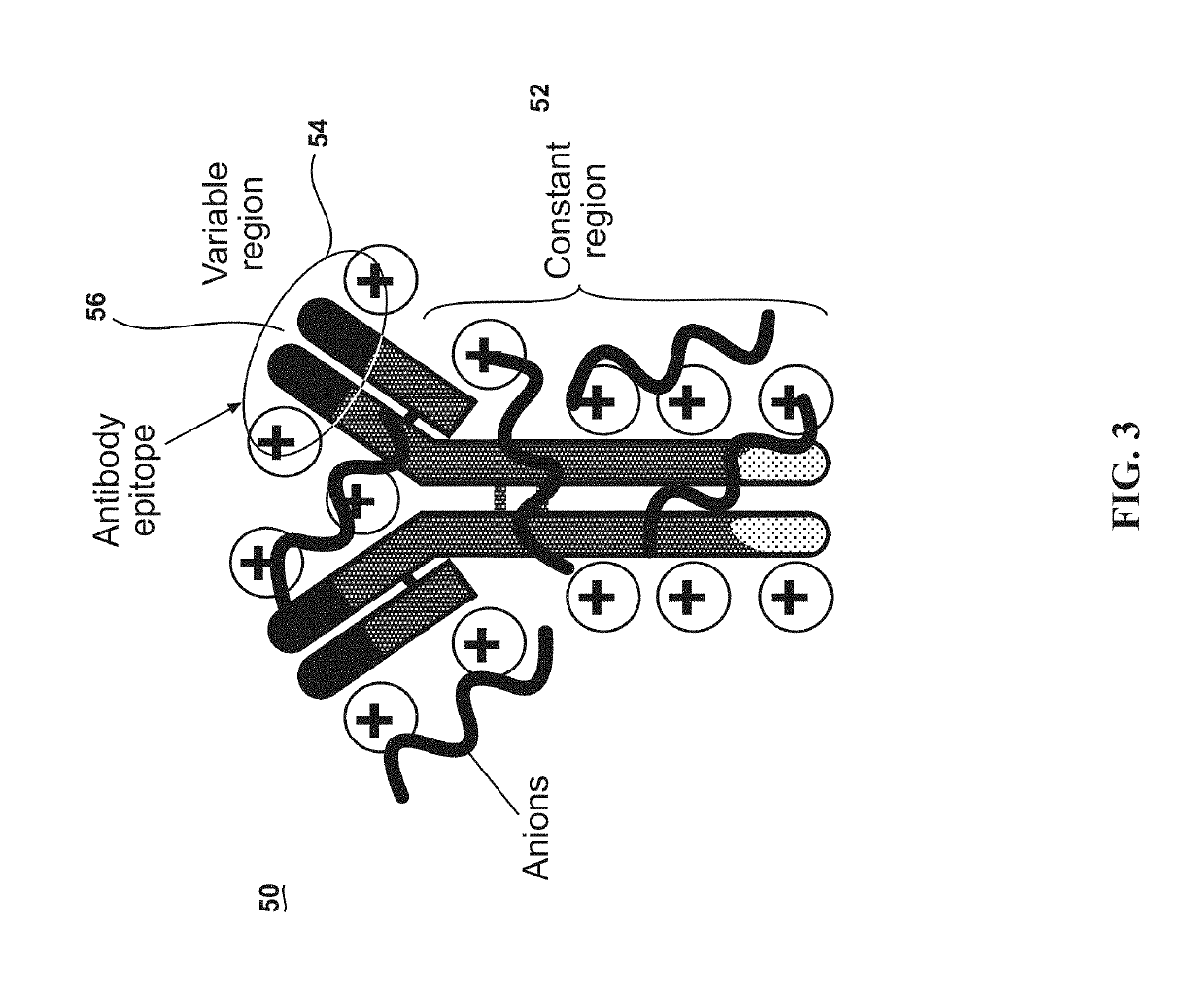 Ultra-stable protein ionic liquids