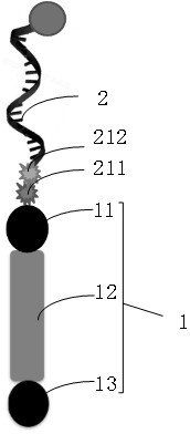 Embedding connector, anchoring molecule, molecular film, device, method and application