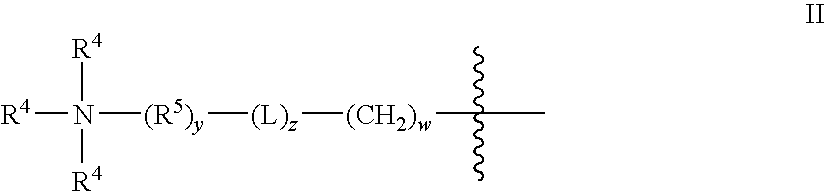 Dual Character Polymer Useful in Fabric Care Products