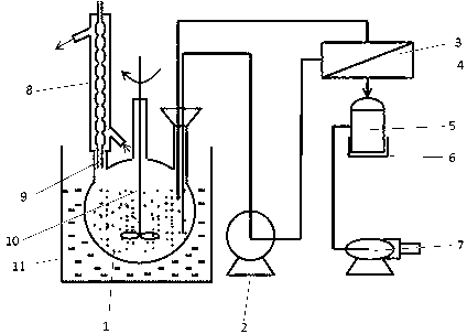 Esterification reaction-pervaporation membrane separation integrated method for producing methyl 3-hydroxypropionate