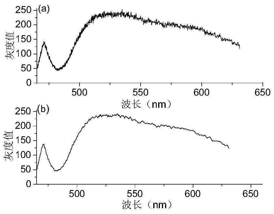 Skin imaging system