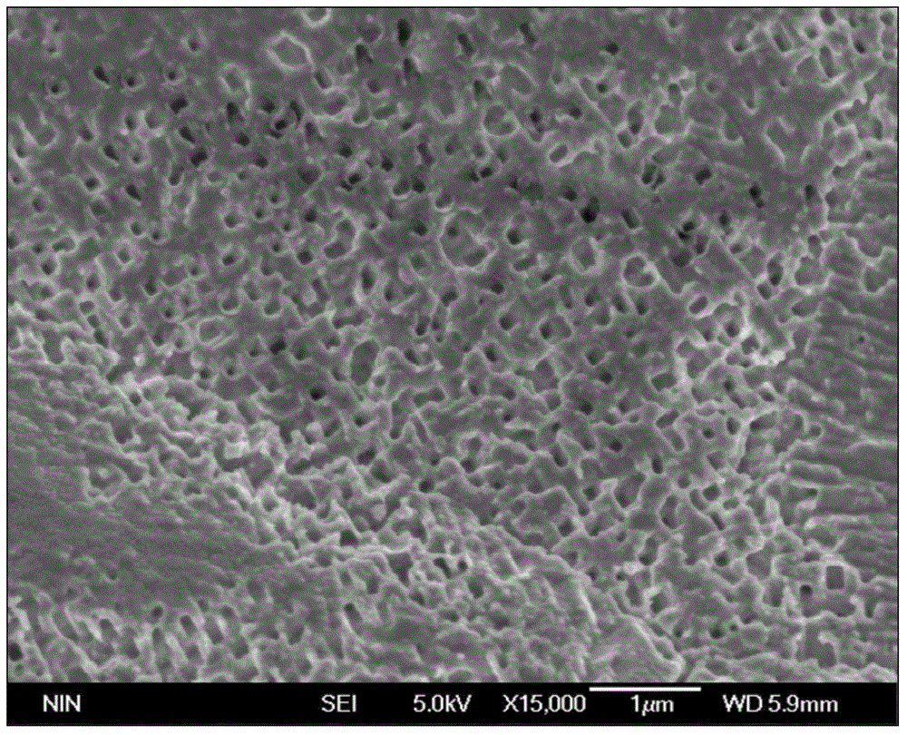 Preparation method of double pore structure porous copper material for enhanced boiling heat transfer