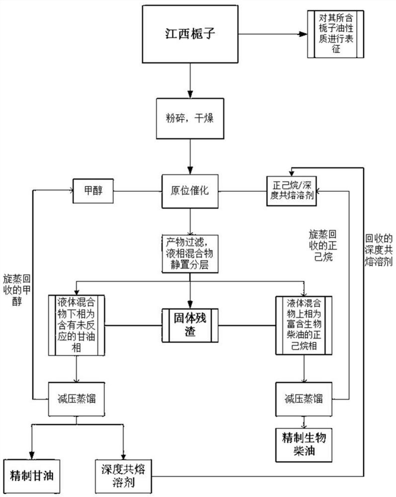 Method for in-situ preparation of biodiesel from Jiangxi gardenia as raw material in deep eutectic solvent/n-hexane system through ultrasonic assistance