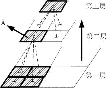 Parallel fractural network evolution image segmentation method