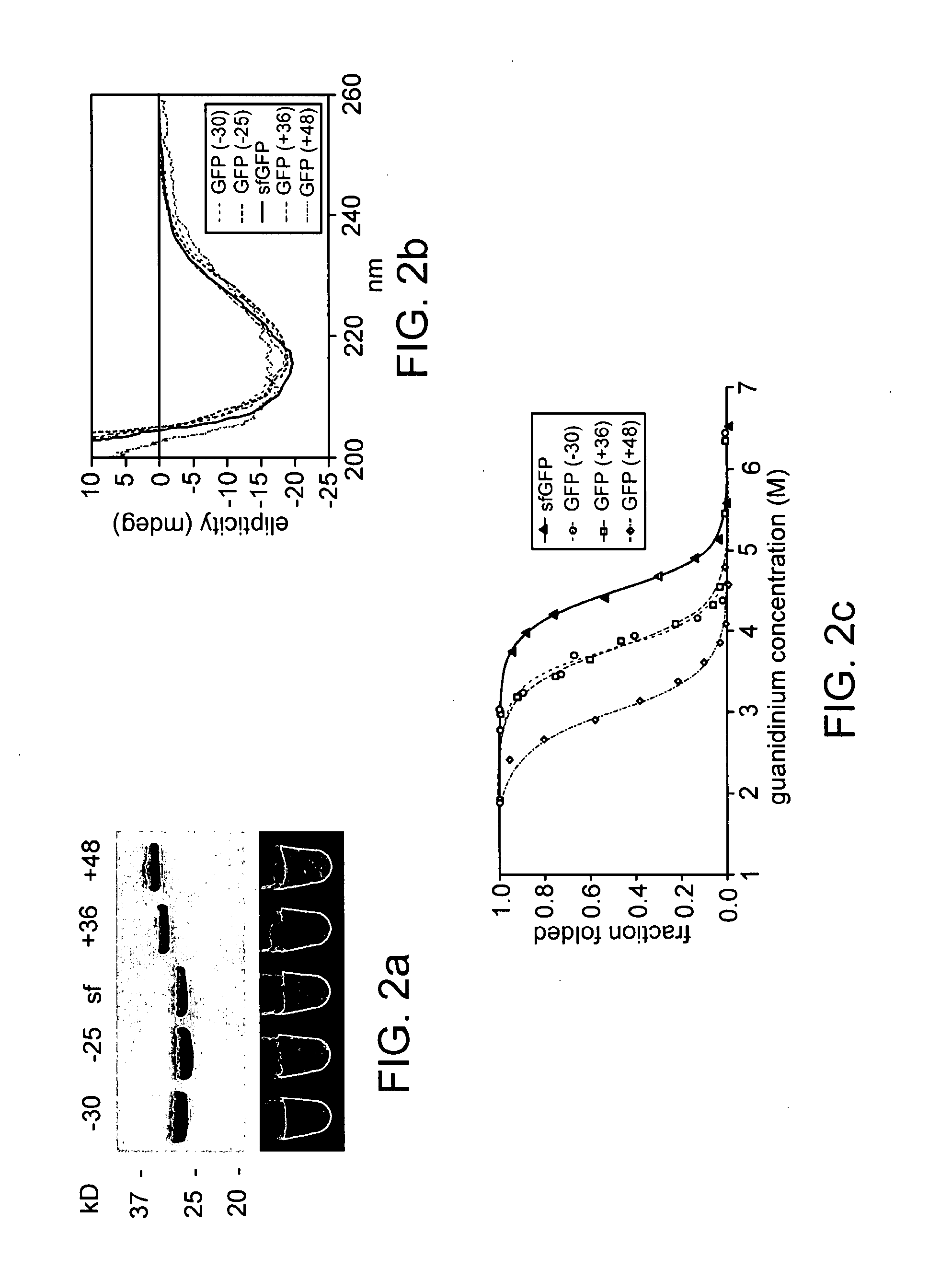 Protein surface remodeling