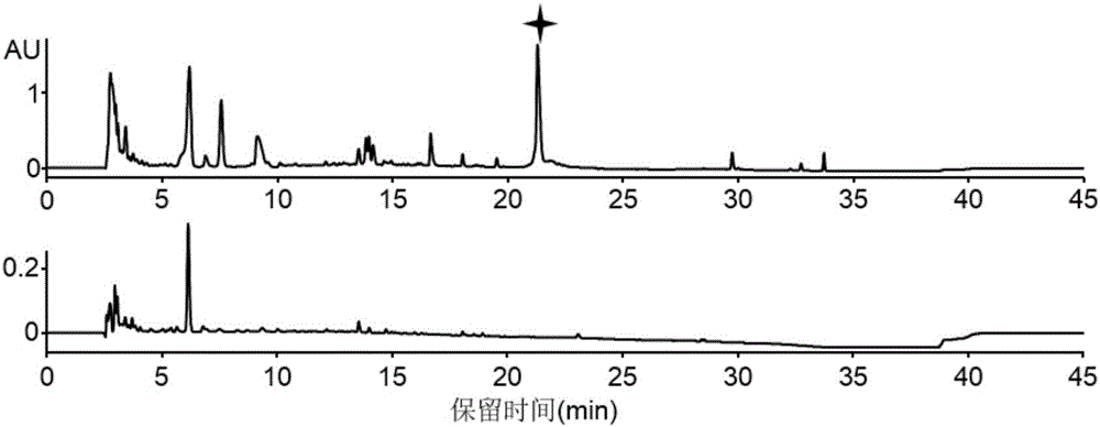 Antimicrobial peptide Lexapeptide, and preparation method and application thereof