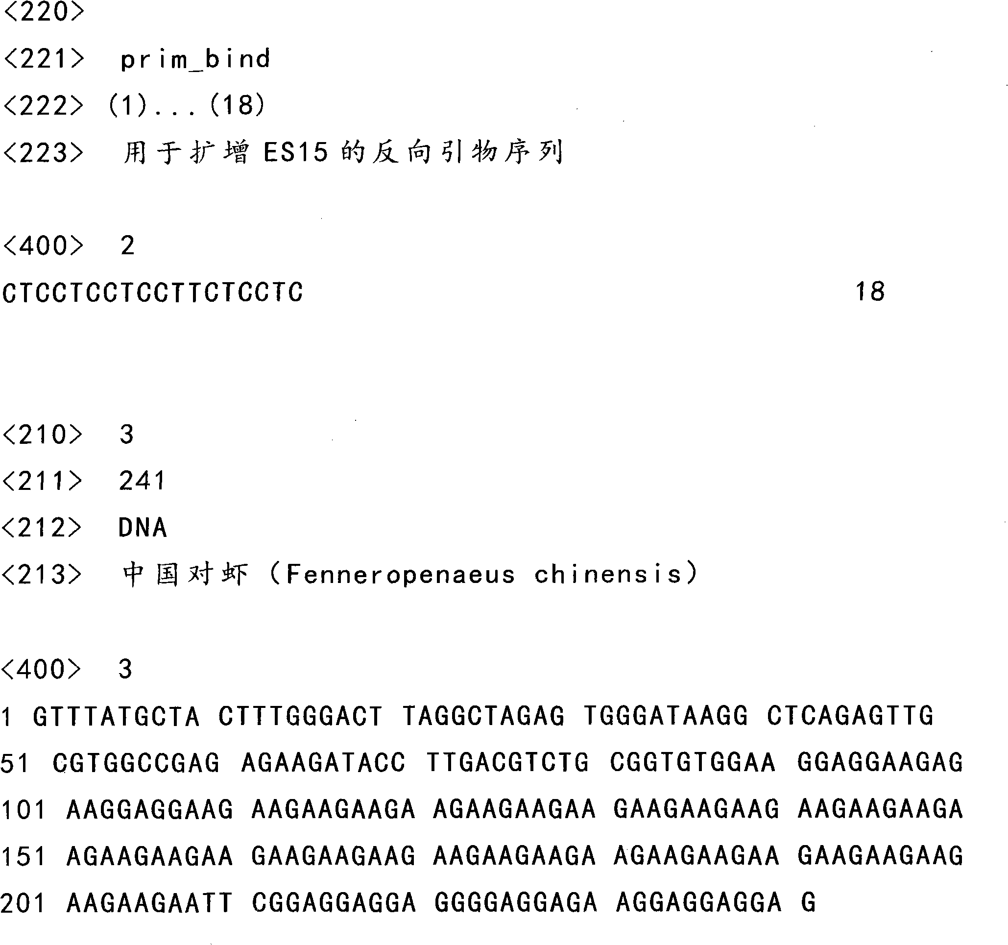 Method for detecting ES15 microsatellite markers of Chinese shrimps