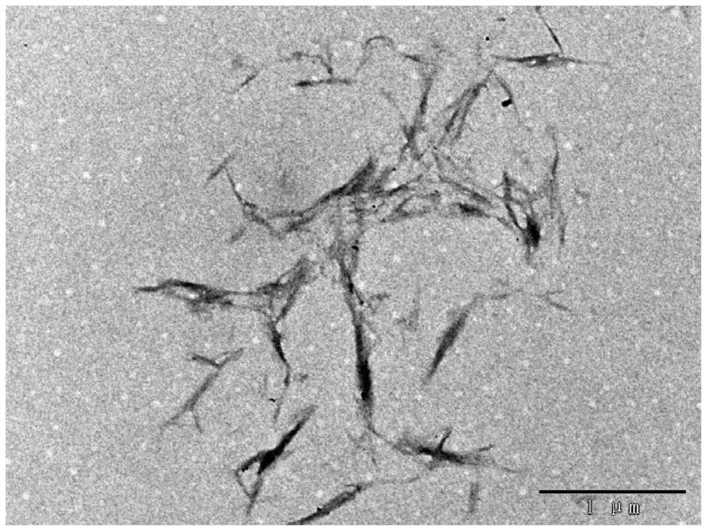 A kind of preparation method of nano cellulose fiber dry powder