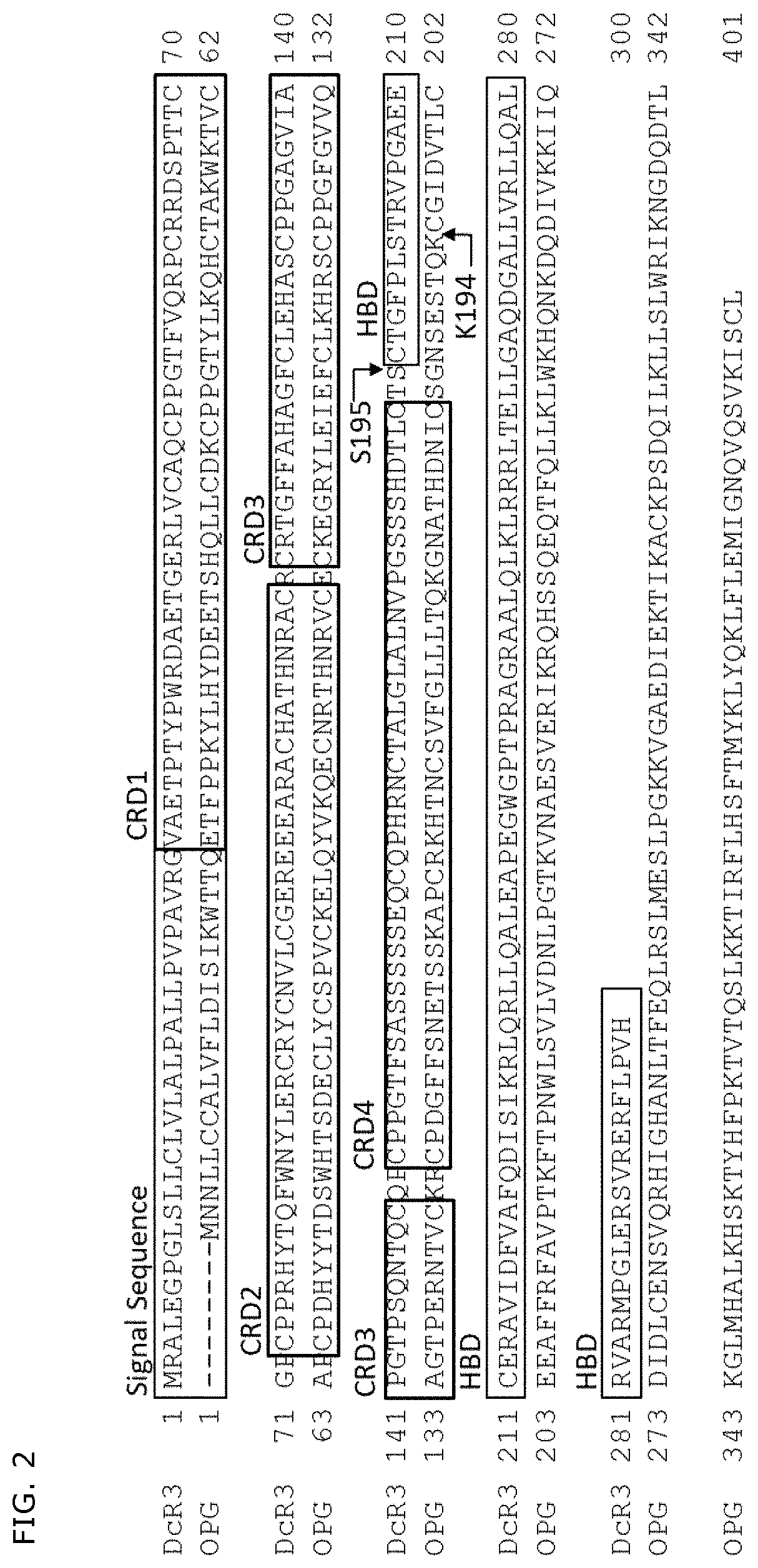 Dcr3 variant