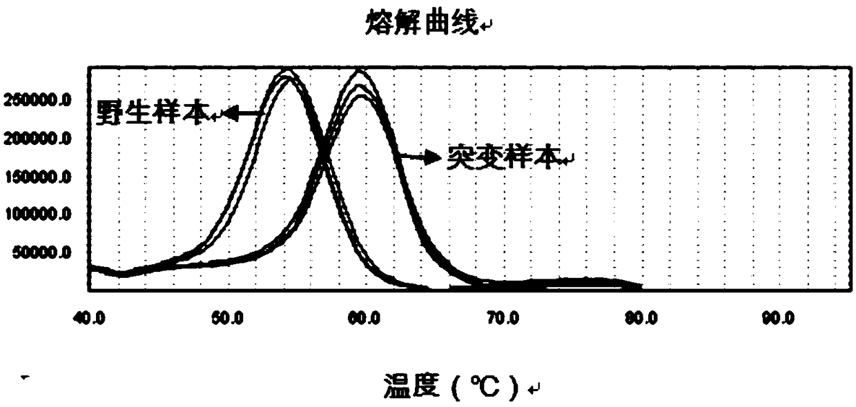 Primer probe combination for deafness gene mutation detection and application thereof