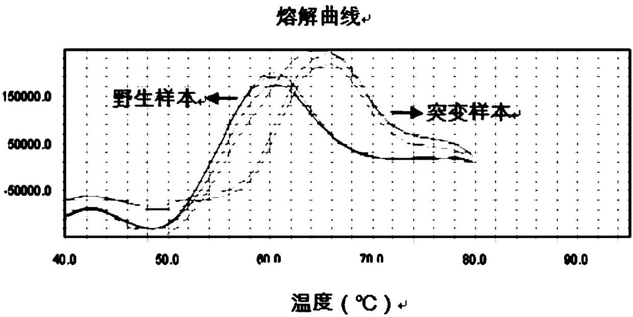 Primer probe combination for deafness gene mutation detection and application thereof