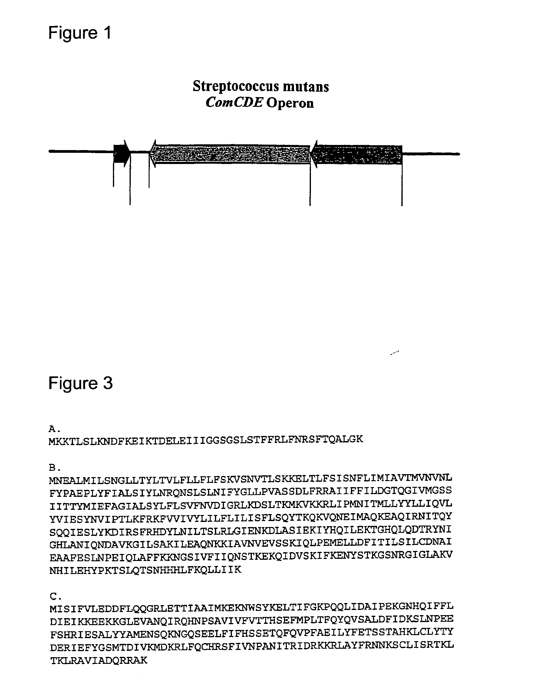 Signal peptides, nucleic acid molecules and methods for treatment of caries