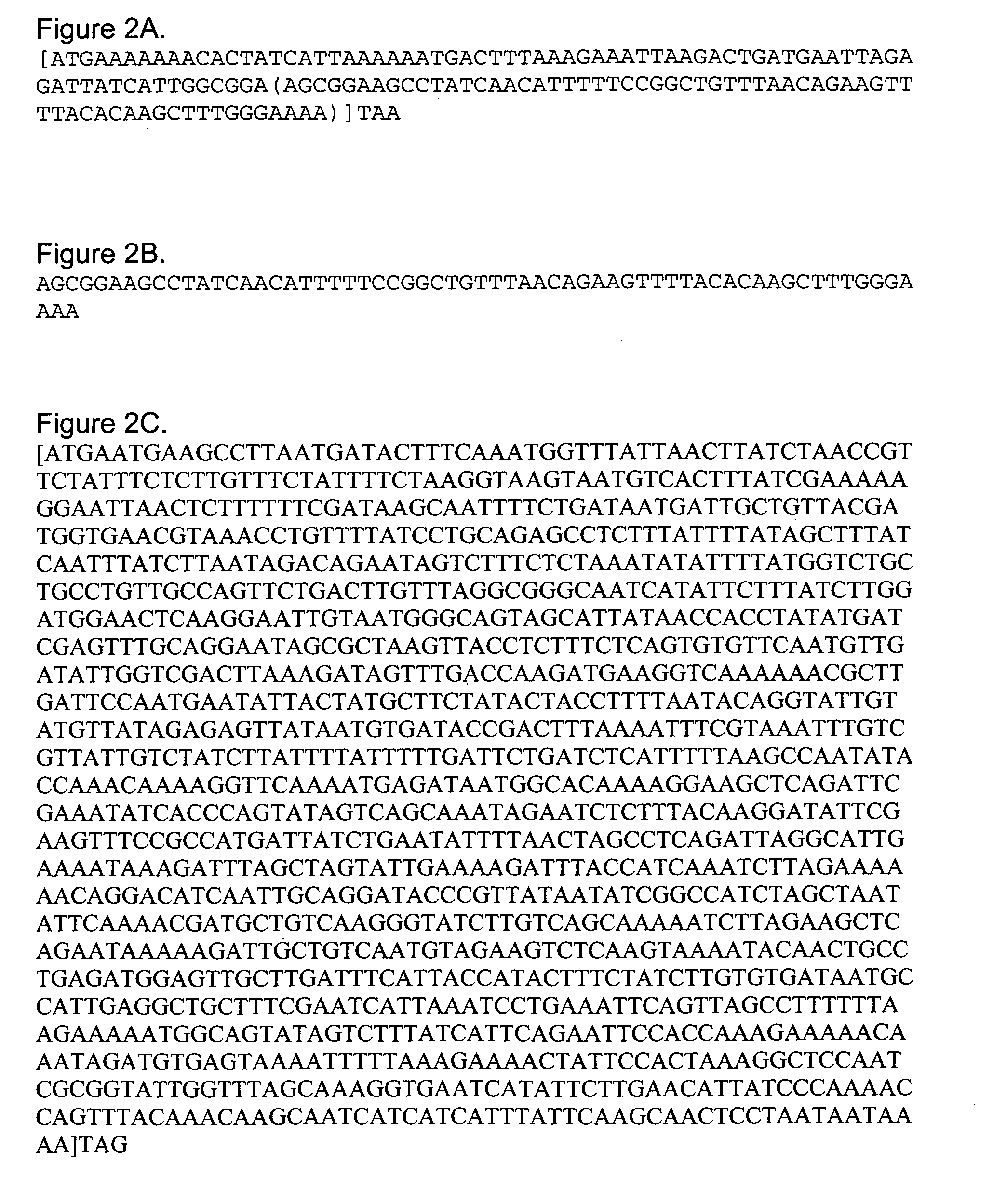 Signal peptides, nucleic acid molecules and methods for treatment of caries