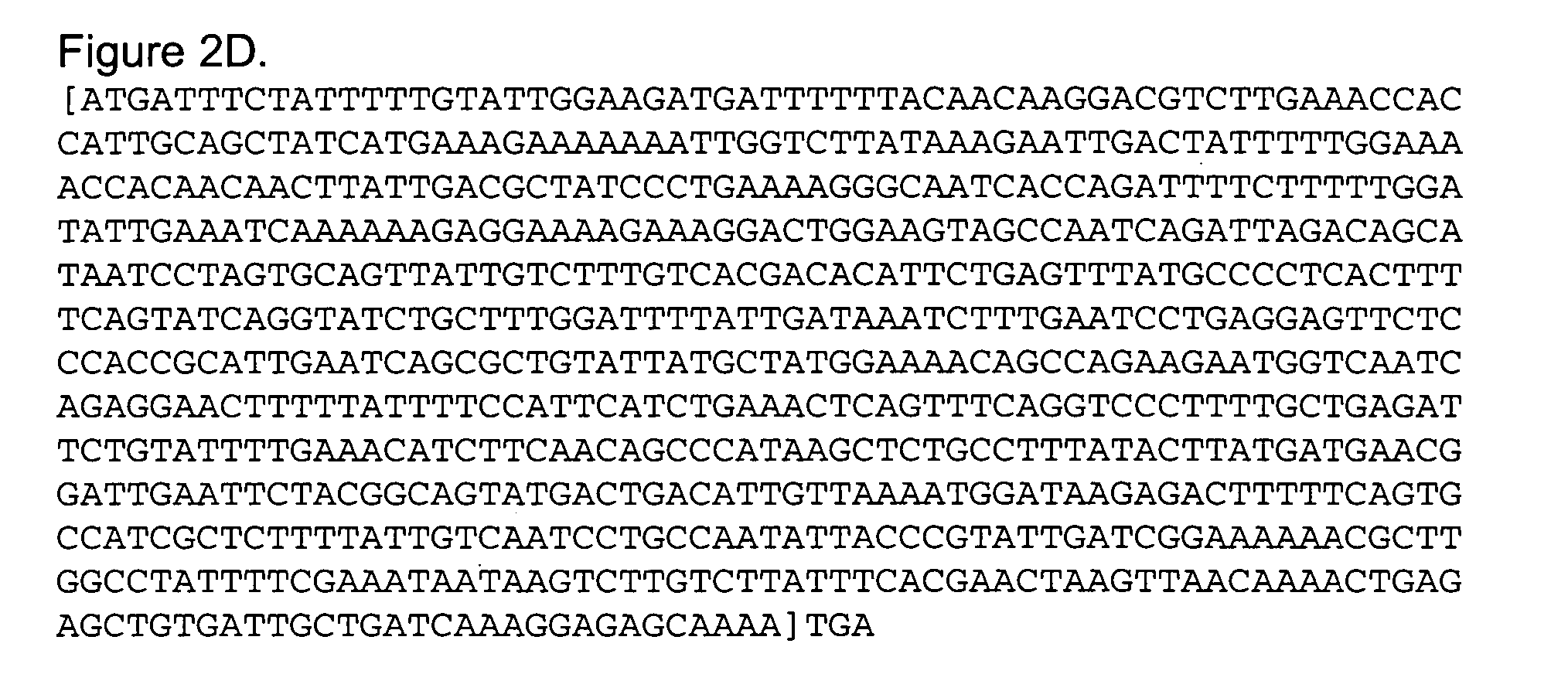 Signal peptides, nucleic acid molecules and methods for treatment of caries