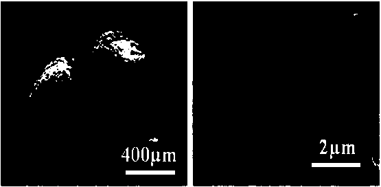 Porous carbon adsorbent and preparation method and application thereof