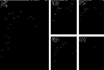 Porous carbon adsorbent and preparation method and application thereof